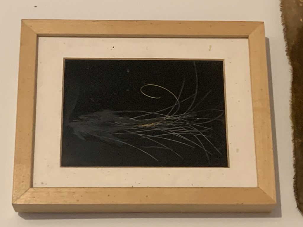 Das Lächeln des Elektrons